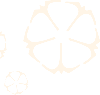 flower pattern